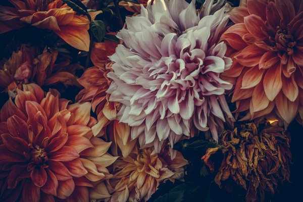 Kit chauffage solaire : solutions efficaces et économiques pour votre maison